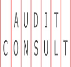 audit consult logo